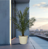 Product afbeelding 2