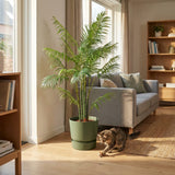 Product afbeelding 4