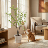 Product afbeelding 4