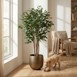 Product afbeelding 4
