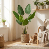 Product afbeelding 8
