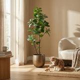 Product afbeelding 8