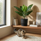 Product afbeelding 6