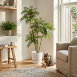 Product afbeelding 6