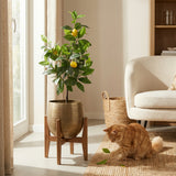 Product afbeelding 4