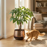 Product afbeelding 4