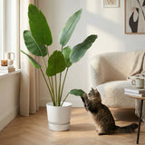 Product afbeelding 4
