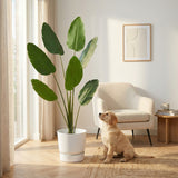 Product afbeelding 4