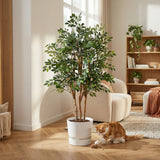 Product afbeelding 4