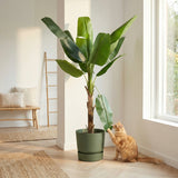 Product afbeelding 4