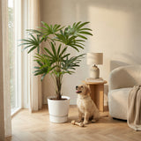 Product afbeelding 4