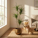 Product afbeelding 4