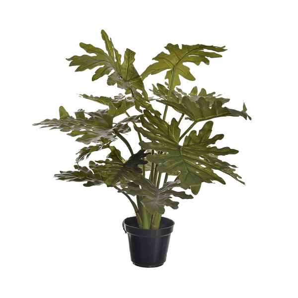 Philodendron Philo kunstplant - 55 cm