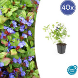 Product afbeelding 10