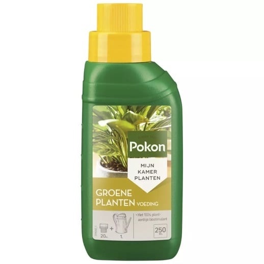 Pokon alimento para plantas verdes 250 ml kopen bij Green Bubble