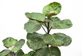 Product afbeelding 2