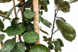 Product afbeelding 3