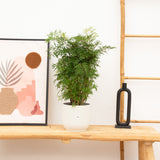 Product afbeelding 1