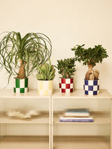 Maceta Elho Blocks & Stripes azul