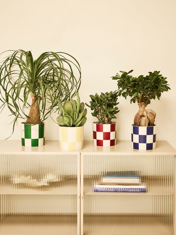 Maceta Elho Blocks & Stripes verde
