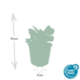 Product afbeelding 2