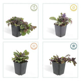 Product afbeelding 4