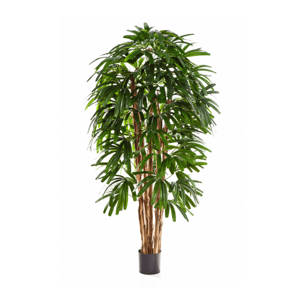 Rhapis kunst palm - 180 cm