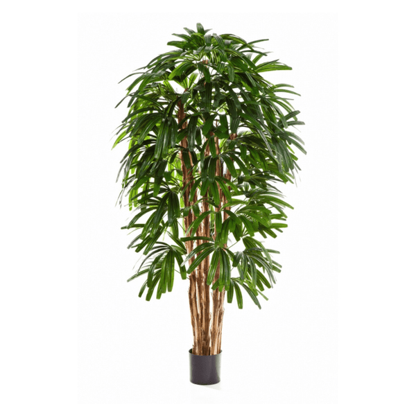 Rhapis kunst palm - 210 cm