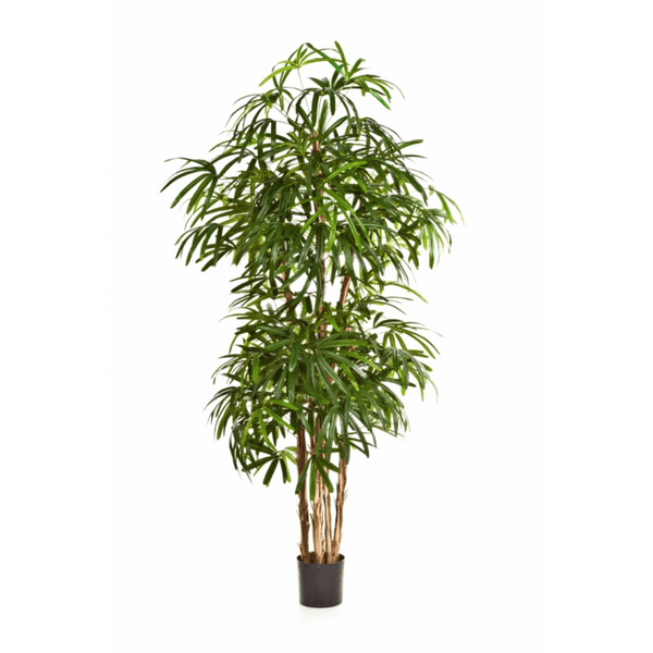 Rhapis kunst palm - 230 cm