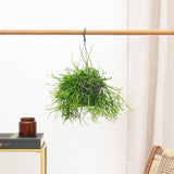 Product afbeelding 2