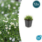 Product afbeelding 7