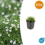 Product afbeelding 10