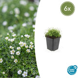 Product afbeelding 1