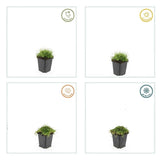 Product afbeelding 3