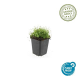 Product afbeelding 6