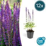 Product afbeelding 8