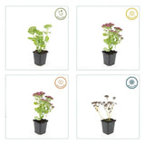 Product afbeelding 4