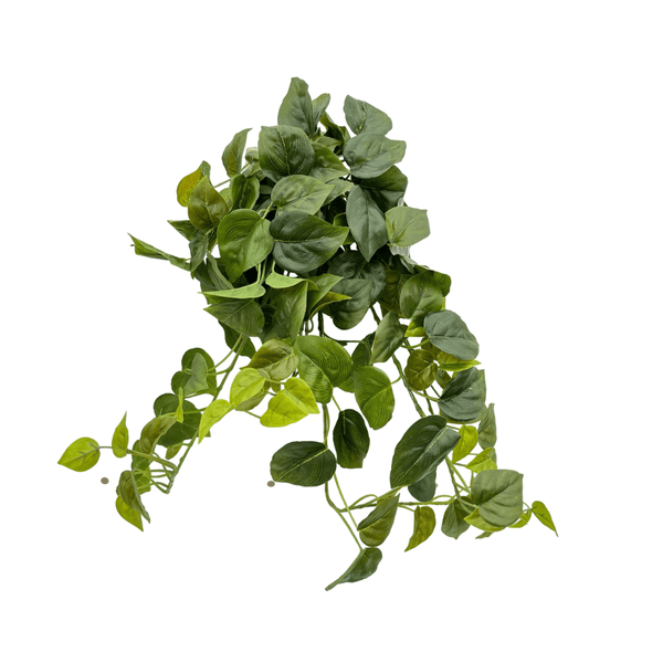 Senecio Macroglossus Kunstplant - 50 cm