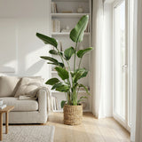 Product afbeelding 9