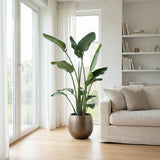 Product afbeelding 7