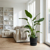 Product afbeelding 3