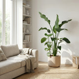 Product afbeelding 4