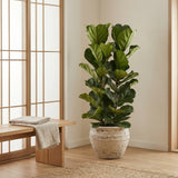 Product afbeelding 5