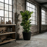 Product afbeelding 3