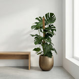 Product afbeelding 6