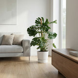 Product afbeelding 4