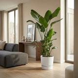 Product afbeelding 4