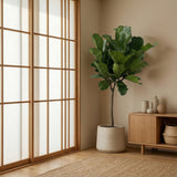 Product afbeelding 7