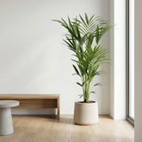 Product afbeelding 8