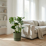 Product afbeelding 8